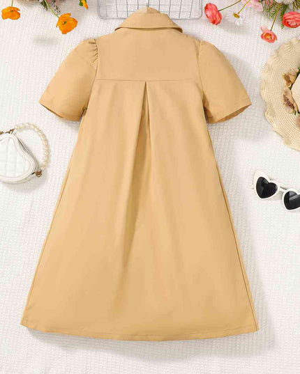Short Sleeve Collared Neck A-Line Dress