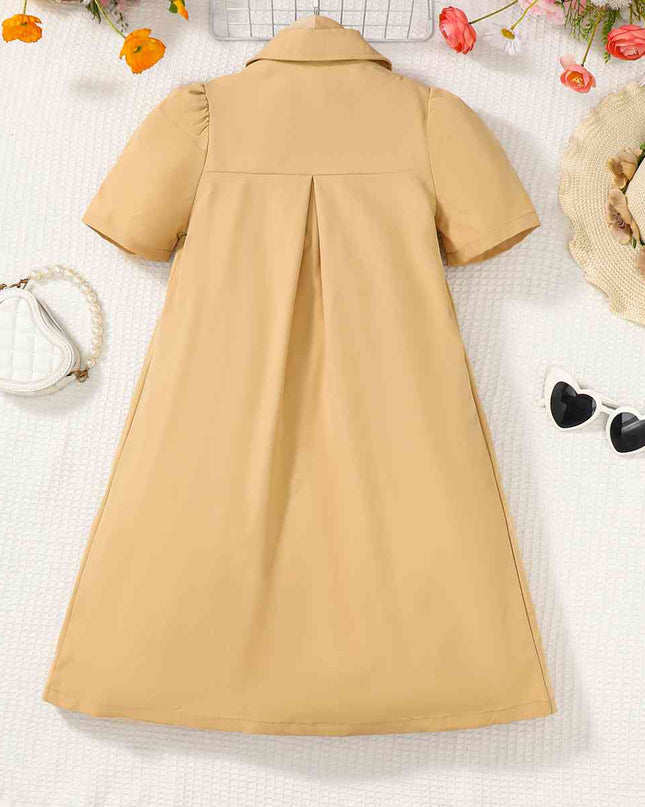 Short Sleeve Collared Neck A-Line Dress
