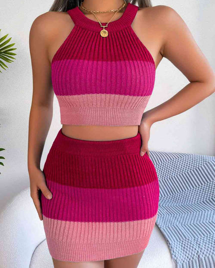 Color Block Sleeveless Crop Knit Top and Skirt Set