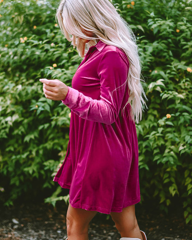 Collared Neck Buttoned Mini Dress