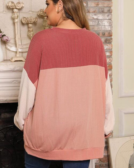 Plus Size Color Block Long Sleeve Top