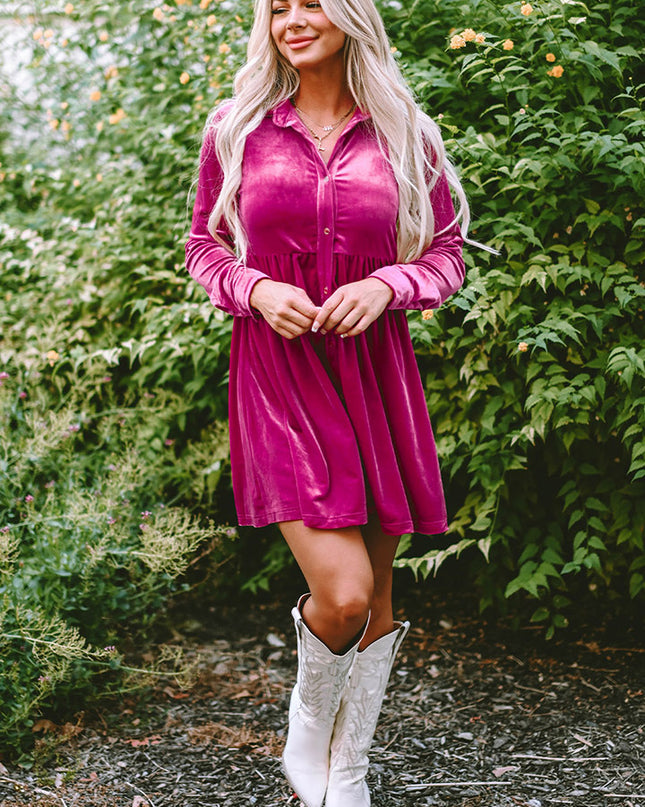 Collared Neck Buttoned Mini Dress