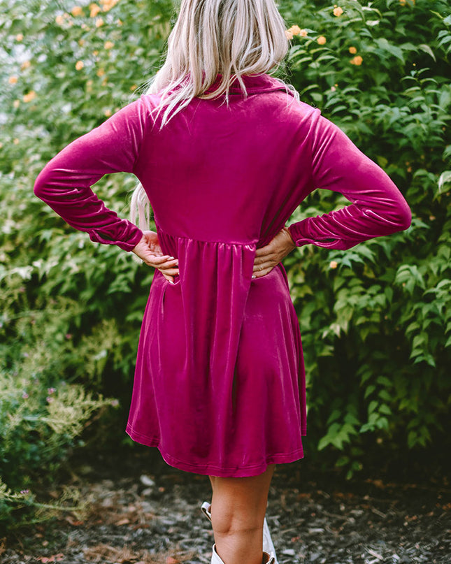 Collared Neck Buttoned Mini Dress