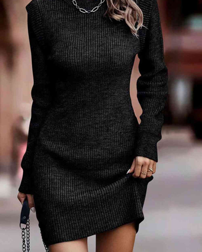 Rib-Knit Round Neck Sweater Dress