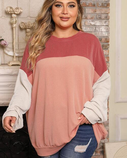 Plus Size Color Block Long Sleeve Top